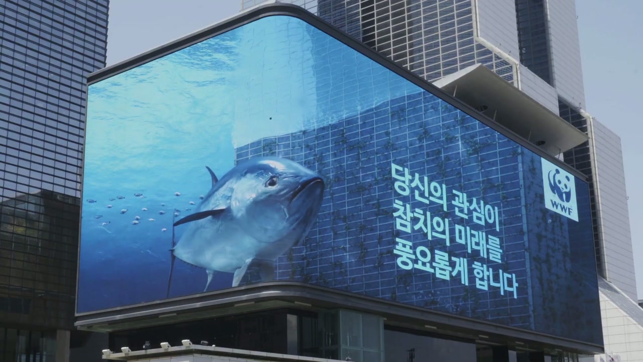 WWF — Media Facade 썸네일